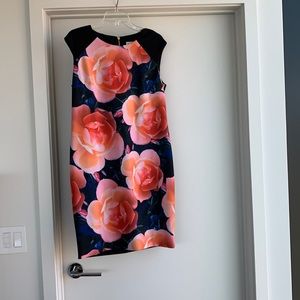 Size 14 Calvin Klein Dress